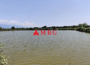 MBG.GE - For Sale, Land